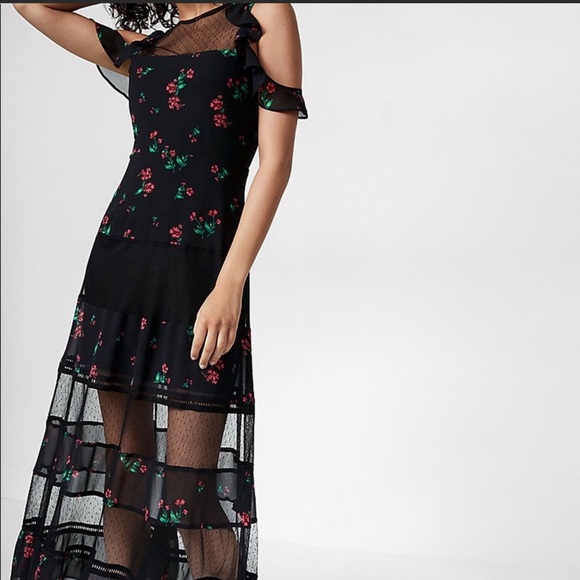 Express Dresses & Skirts - EXPRESS sheer floral maxi dress NEW - size 6